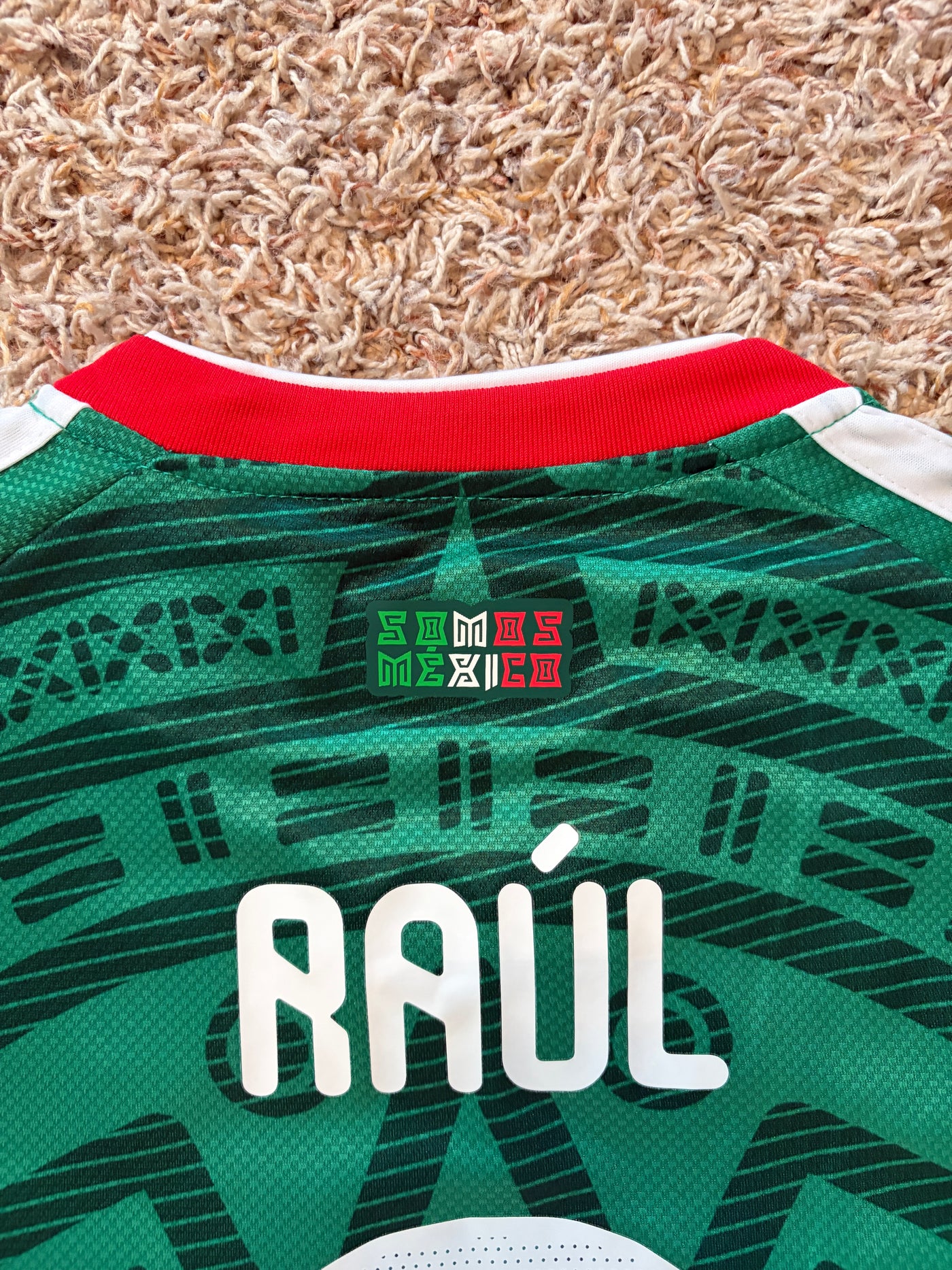 🇲🇽 Mexico Home Jersey | Raúl #9