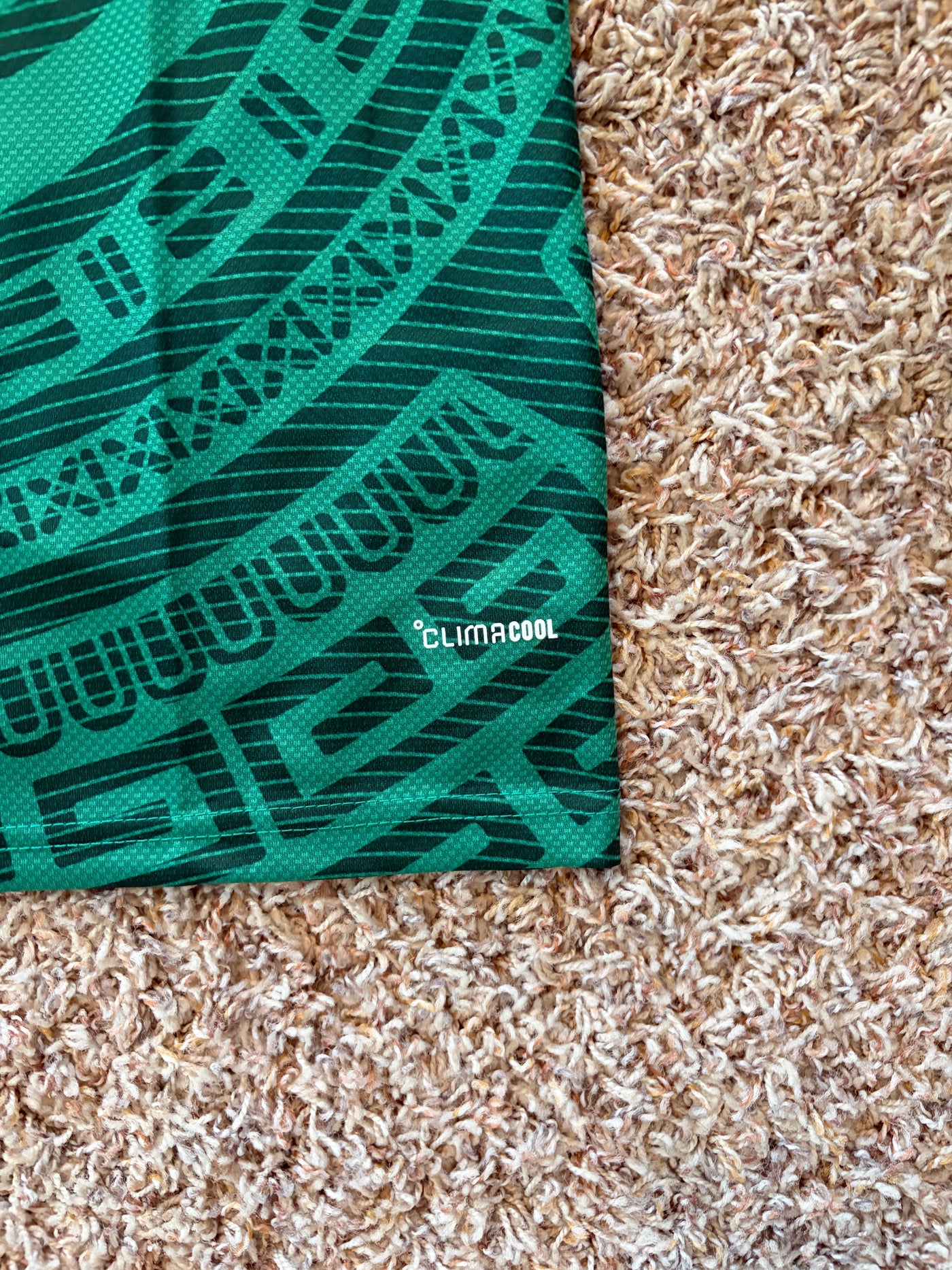 🇲🇽 Mexico Home Jersey | Raúl #9